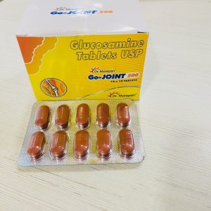 Go-Joint 500 MG Tablets